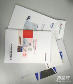 樂清樣本畫冊(cè)設(shè)計(jì)與印刷服務(wù) 宣傳冊(cè)、單張、說明書與網(wǎng)站設(shè)計(jì)一體化解決方案